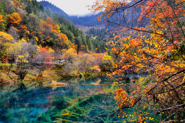 排行前十阿坝秋天去哪玩