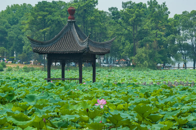 十大武汉暑假旅游好去处