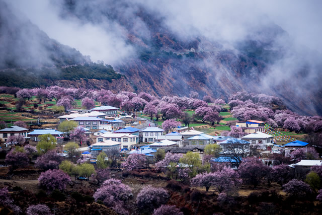 前104月份适合去哪旅游